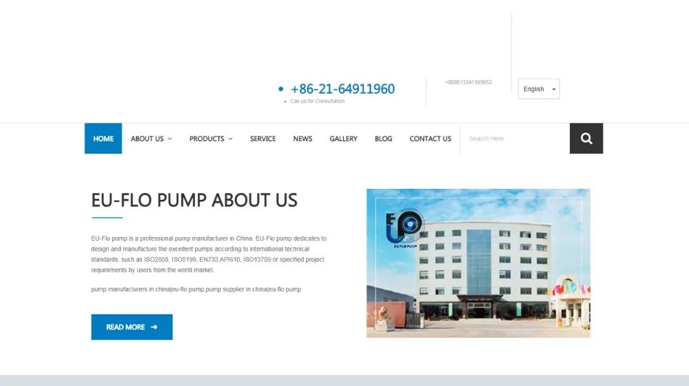 Chemical Pump Manufacturer