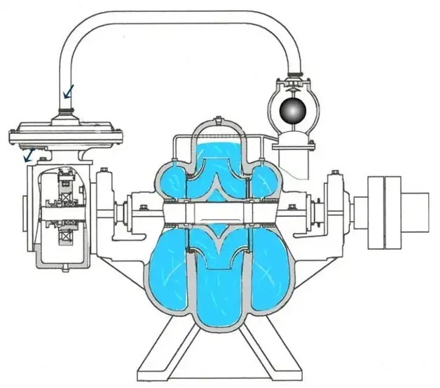 Double Suction Water Pump